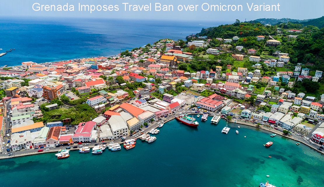 GRENADA, Brazil bans travel from African countries over new COVID variant Omicron